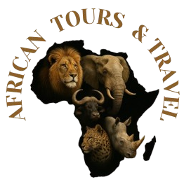 African Tours and Travel